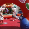 Festisol