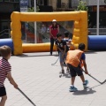 Festisol