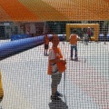 Festisol