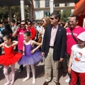 Festisol