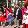 Festisol