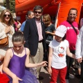 Festisol