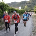 Marató i mitja - CSP-115