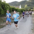 Marató i mitja - CSP-115