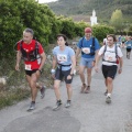 Marató i mitja - CSP-115