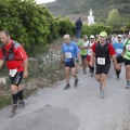 Marató i mitja - CSP-115