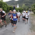 Marató i mitja - CSP-115