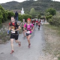 Marató i mitja - CSP-115