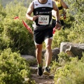 Marató i mitja - CSP-115