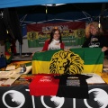 Castellón, Rototom Sunsplash en Vila-real