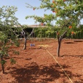 Castellón, Centro Marillac, 2012