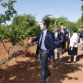 Castellón, Centro Marillac, 2012