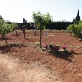 Castellón, Centro Marillac, 2012