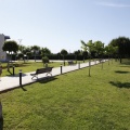 Castellón, Centro Marillac, 2012