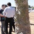 Castellón, Por una ciudad verde 2012