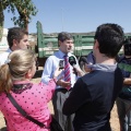 Castellón, Por una ciudad verde 2012