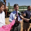 Castellón, Por una ciudad verde 2012