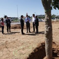 Castellón, Por una ciudad verde 2012