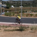 Castellón, Por una ciudad verde 2012