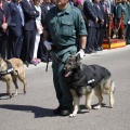 Castellón, Toma de posesión Teniente Coronel Juan José Miralles