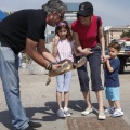 Castellón, suelta de un ejemplar de Tortuga