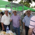 Castellón, Día de hermandad