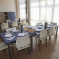 Castellón, Afanias 2012