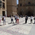 Castellón, Día de la Esclerosis Múltiple