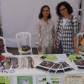 Castellón Jornada Día de la Cooperación