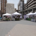 Castellón Jornada Día de la Cooperación
