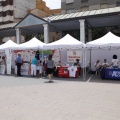 Castellón Jornada Día de la Cooperación
