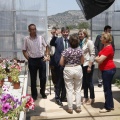 Castellón, Fundación-Asociación ATENEO