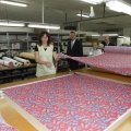 Castellón,  Alberto Fabra en las instalaciones de Dolores Cortés