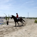 PADDOCKS DE AZAHAR