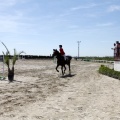 PADDOCKS DE AZAHAR