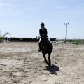 PADDOCKS DE AZAHAR
