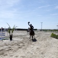PADDOCKS DE AZAHAR