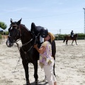 PADDOCKS DE AZAHAR