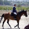 PADDOCKS DE AZAHAR