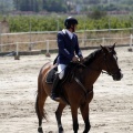 PADDOCKS DE AZAHAR