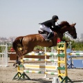 PADDOCKS DE AZAHAR