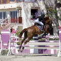 PADDOCKS DE AZAHAR