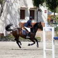 PADDOCKS DE AZAHAR