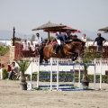 PADDOCKS DE AZAHAR