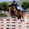 PADDOCKS DE AZAHAR