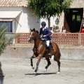 PADDOCKS DE AZAHAR