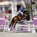 PADDOCKS DE AZAHAR