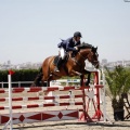 PADDOCKS DE AZAHAR