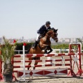 PADDOCKS DE AZAHAR
