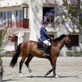 PADDOCKS DE AZAHAR
